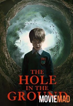 The Hole in the Ground 2019 Hindi Dubbed ORG BluRay Full Movie 720p 480p Movie