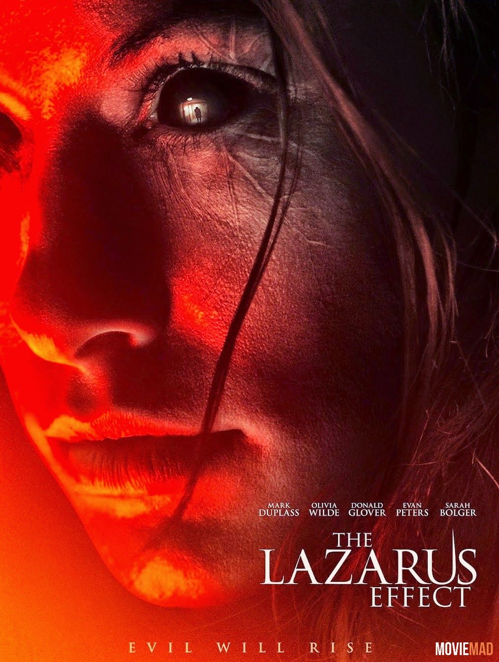 The Lazarus Effect 2015 Hindi Dubbed BluRay Full Movie 720p 480p Movie