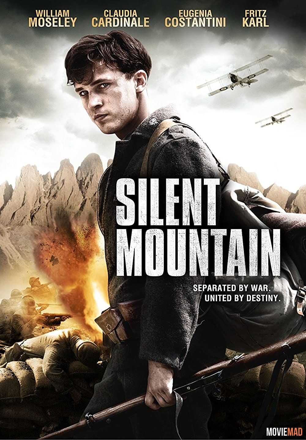 The Silent Mountain (2014) Hindi Dubbed ORG BluRay Full Movie 720p 480p Movie