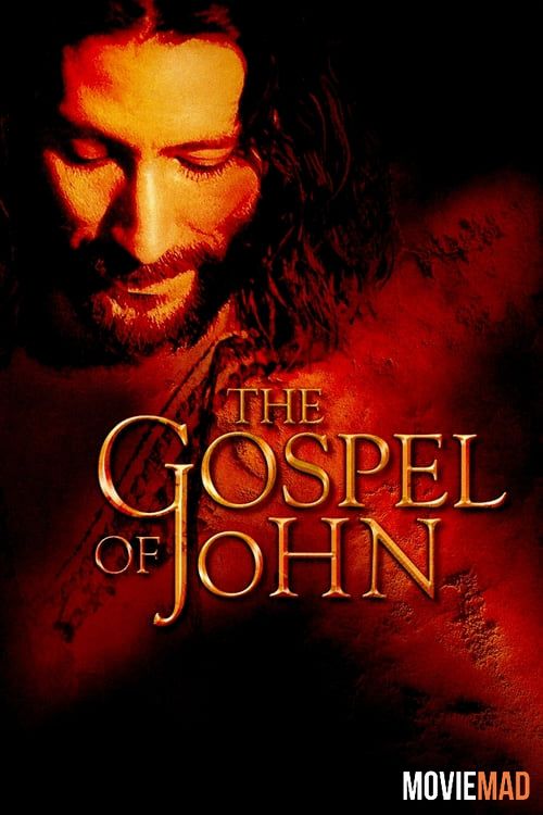 The Visual Bible: The Gospel of John 2003 Hindi Dubbed BluRay Full Movie 720p 480p Movie