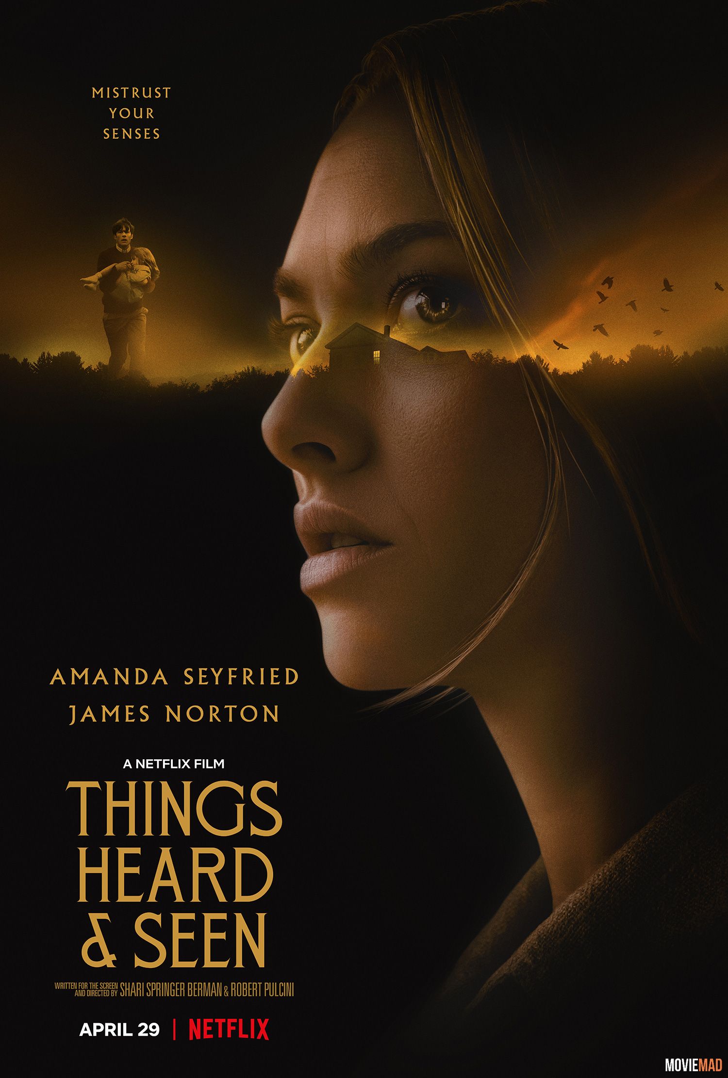 Things Heard & Seen 2021 Dual Audio Hindi ORG NF HDRip Full Movie 720p 480p Movie