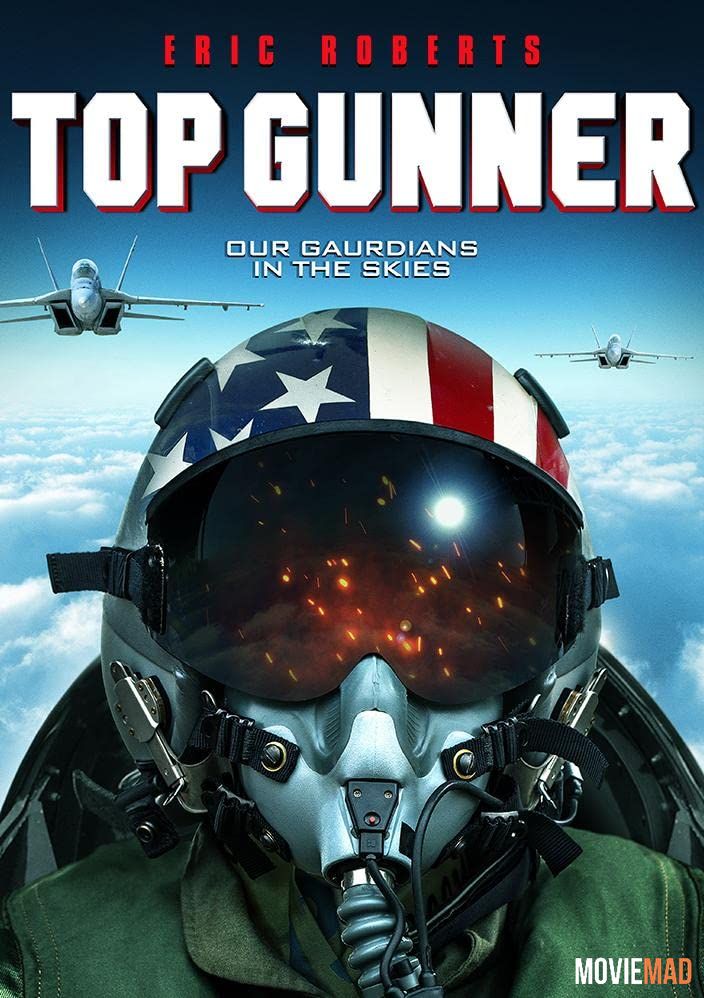 Top Gunner (2020) Hindi Dubbed ORG BluRay Full Movie 1080p 720p 480p Movie