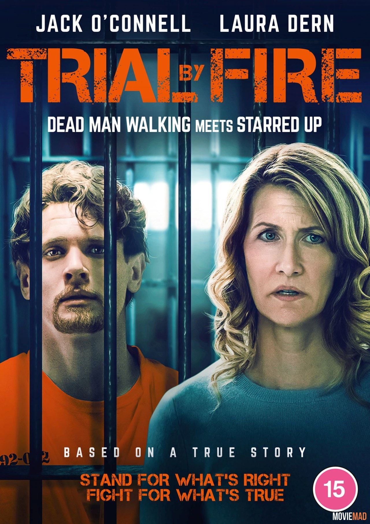 Trial by Fire 2018 BluRay DuaL Audio Hindi ORG NF 720p 480p