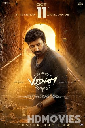 Viswam (2024) Hindi HQ Dubbed