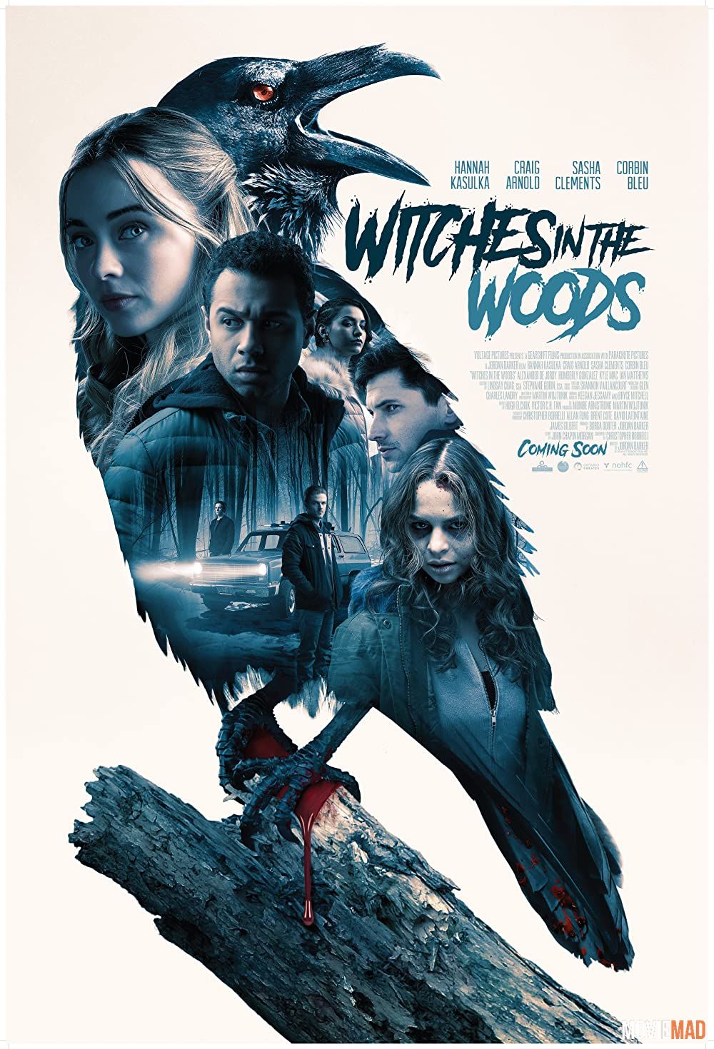 Witches In The Woods 2019 Hindi Dubbed ORG BluRay Full Movie 1080p 720p 480p Movie