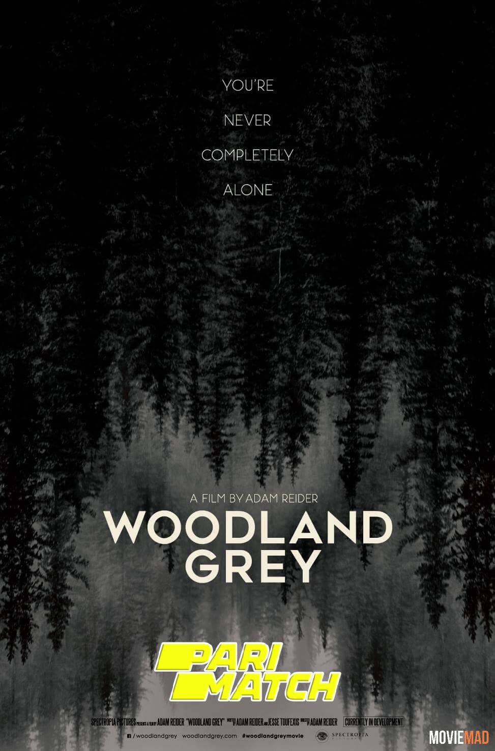 Woodland Grey 2021 Hindi (Voice Over) Dubbed WEBRip Full Movie 720p 480p