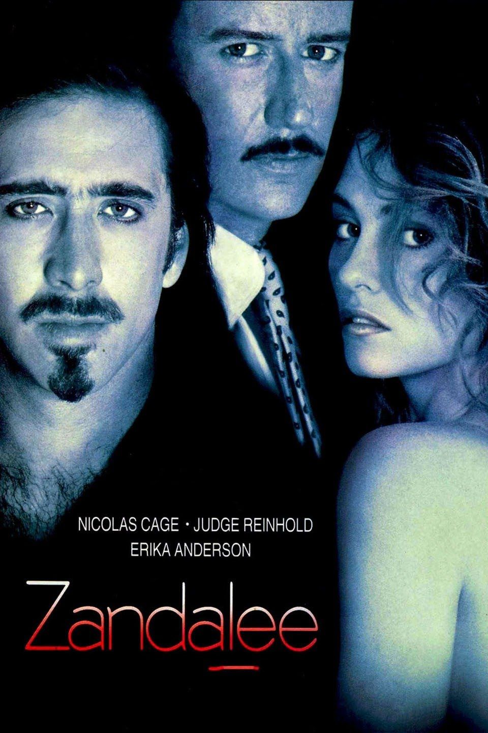 Zandalee (1991) English HDRip Full Movie 720p 480p Movie